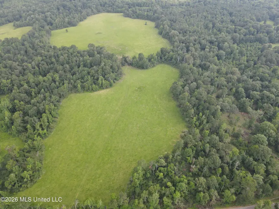 2132 Busby Trail, Brookhaven, MS 39601 - #3