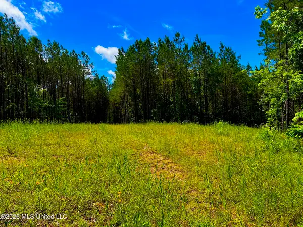 Arthur Drive, Brookhaven, MS 39601