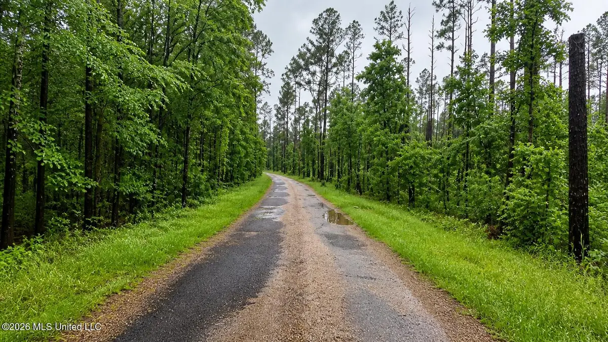 Ford Lane, Crystal Springs, MS 39059 - #1