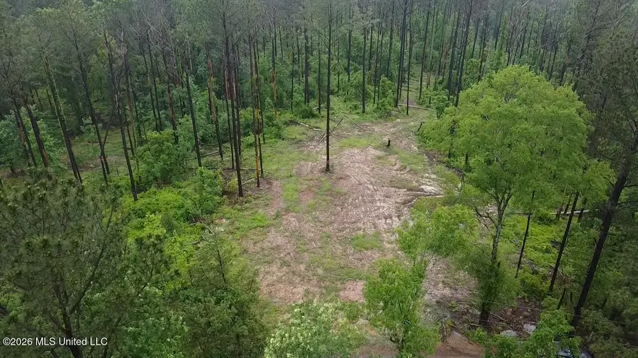 Ford Lane, Crystal Springs, MS 39059 - #2