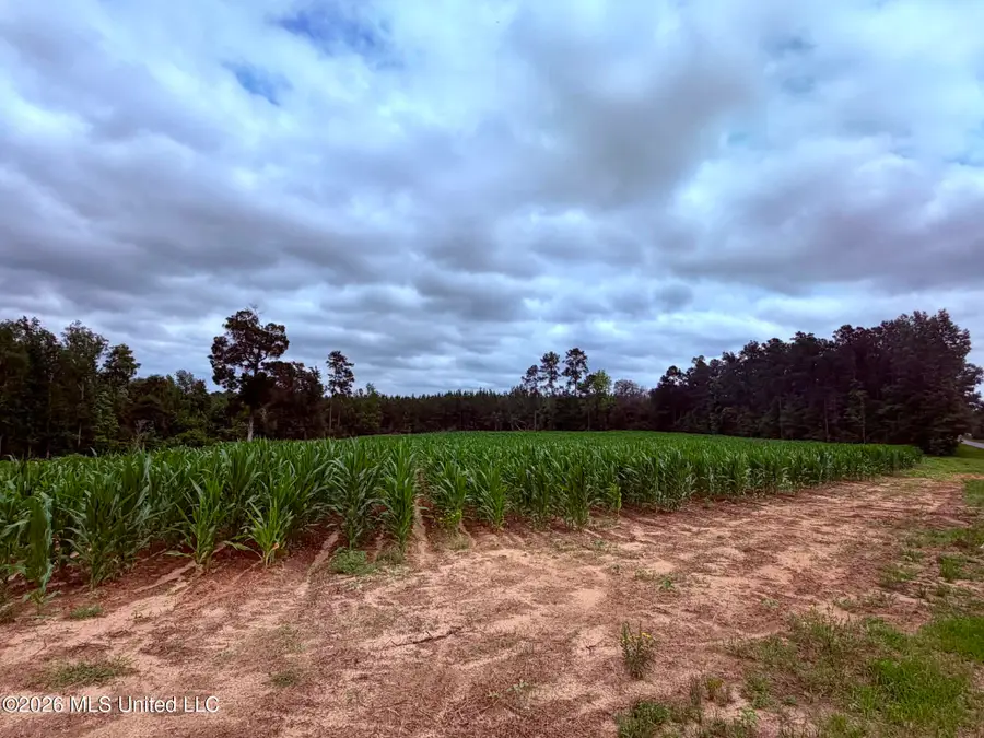 1882 Mcinnis Vernal Road, Lucedale, MS 39452 - #3