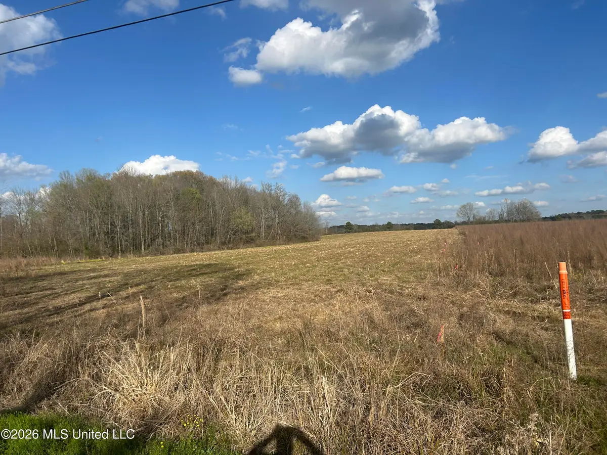 Old Hillsboro Road, Forest, MS 39074 - #1