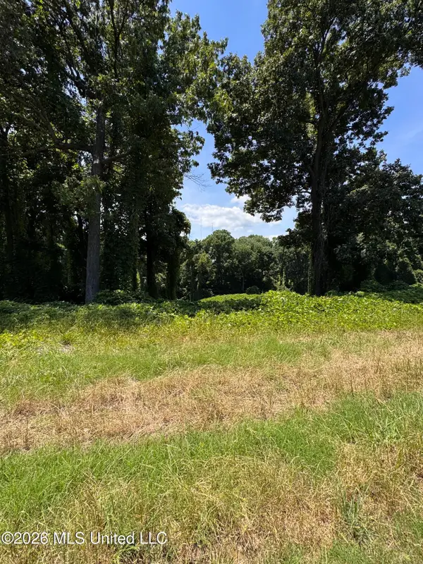 10533 Spring River Cove, Lake Cormorant, MS 38641