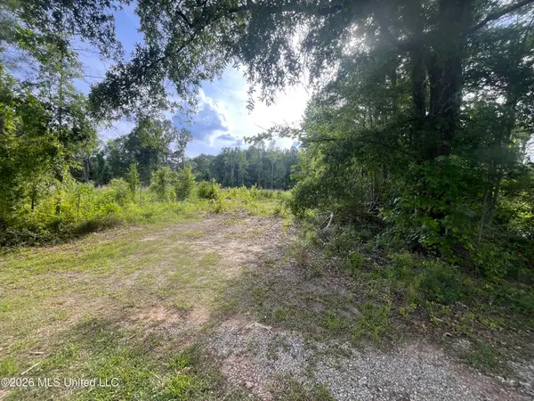Pettey Road, Forest, MS 39074