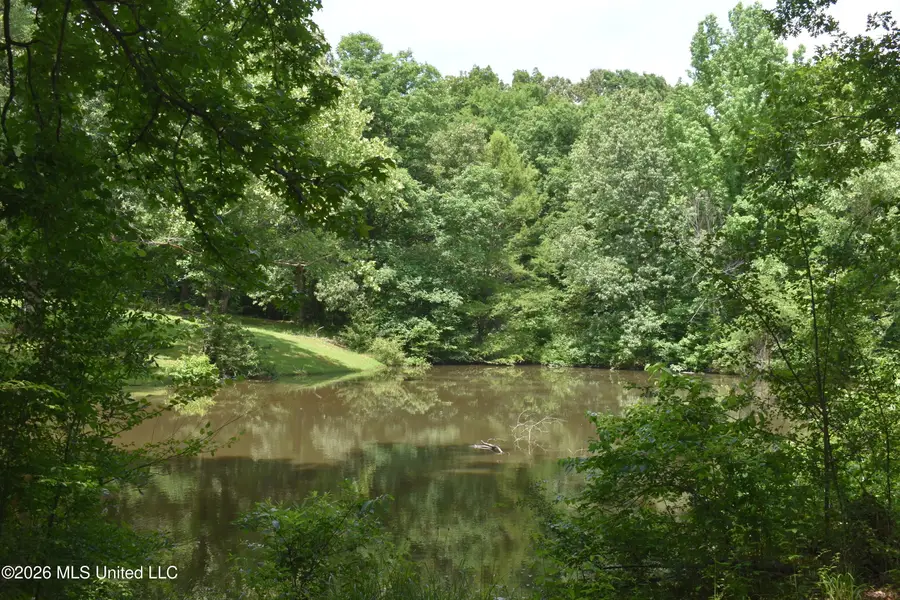 50 Jamie Drive, Byhalia, MS 38611 - #2