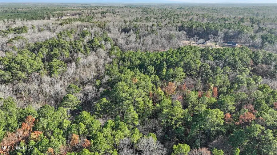 1074 Ridgeside Drive, Brandon, MS 39042 - #2