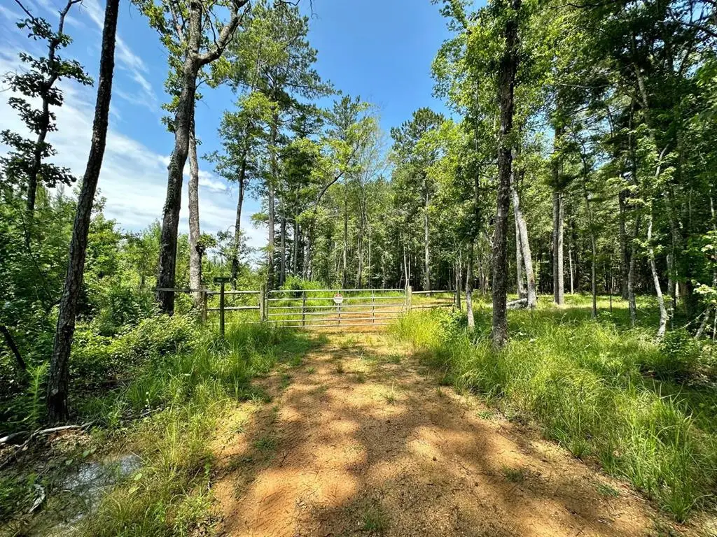 Lee Bass Road, Pinola, MS 39149 - #1