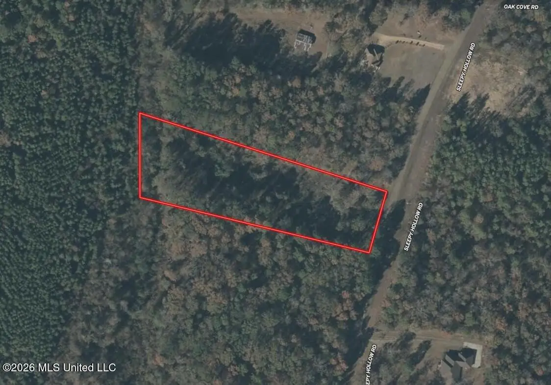 Sleepy Hollow Road, Terry, MS 39170 - #1