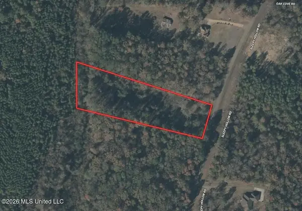 Sleepy Hollow Road, Terry, MS 39170