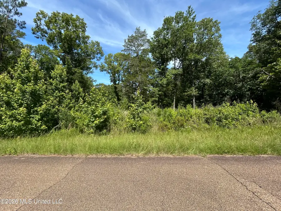 Sleepy Hollow Road, Terry, MS 39170 - #3