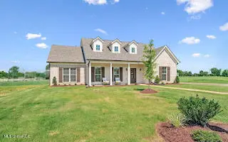 2111 Scott Mdws Lane, Hernando, MS 38632 - #2