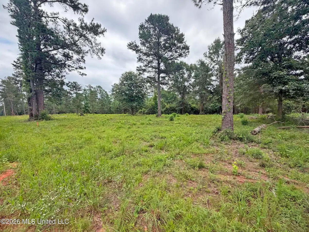 Parcel 4 N Old 63 Highway, Lucedale, MS 39452 - #1