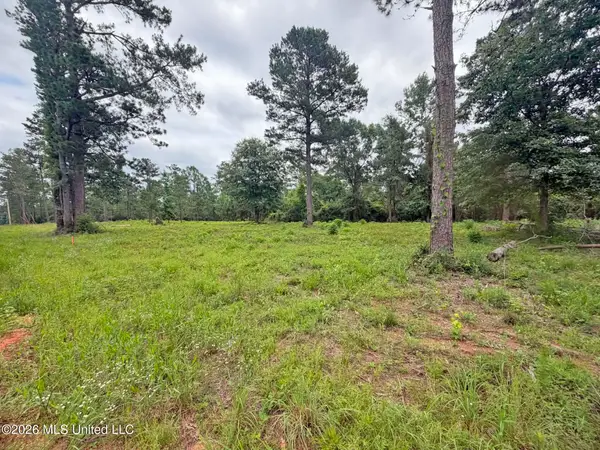 Parcel 4 N Old 63 Highway, Lucedale, MS 39452