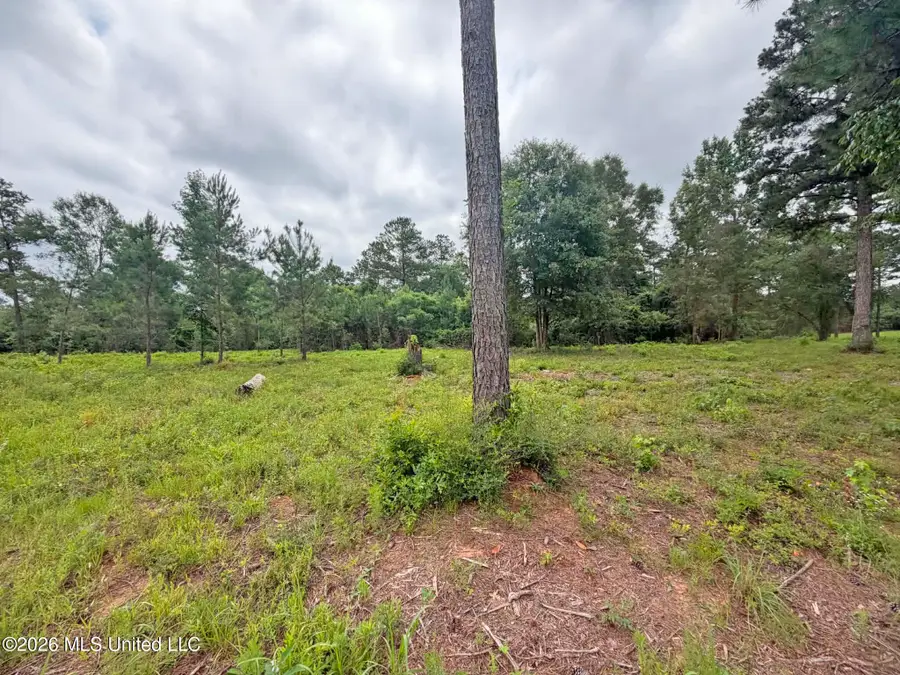 Parcel 4 N Old 63 Highway, Lucedale, MS 39452 - #2