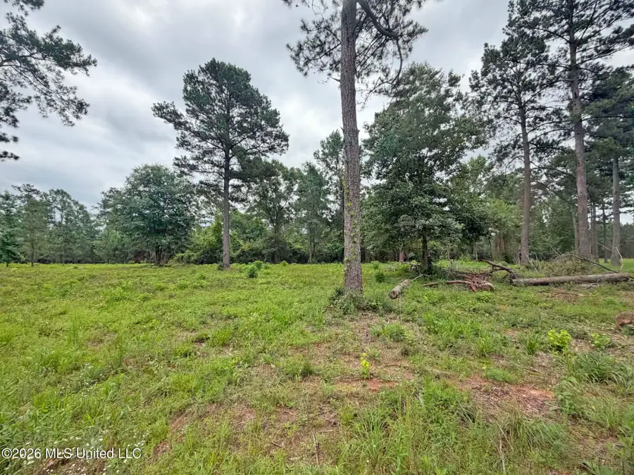 Parcel 5 N Old 63 Highway, Lucedale, MS 39452 - #3