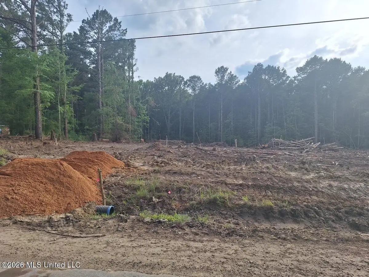 709 Old Pinola Braxton Road, Braxton, MS 39044 - #1