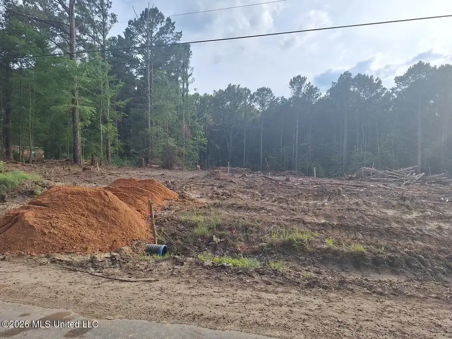 709 Old Pinola Braxton Road, Braxton, MS 39044 - #2