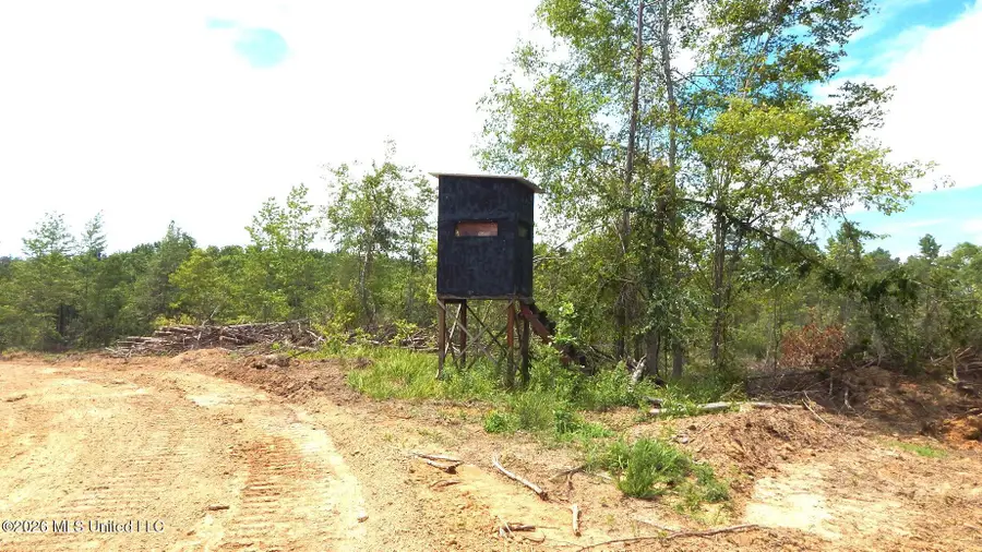 70 County Road 154 Country Road, Tillatoba, MS 38961 - #3