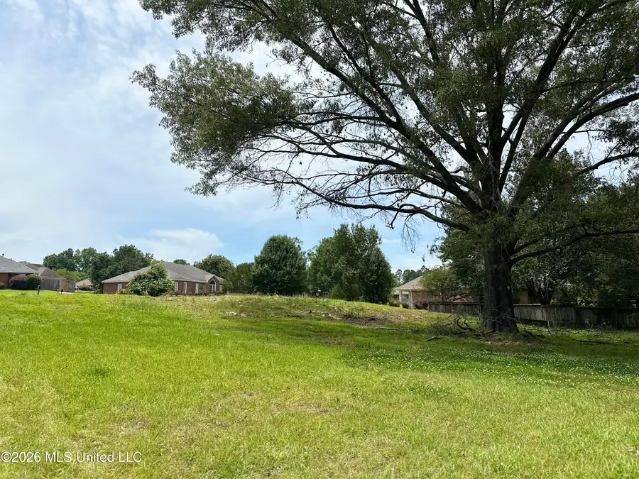 322 Semoia Lane, Ridgeland, MS 39157 - #2