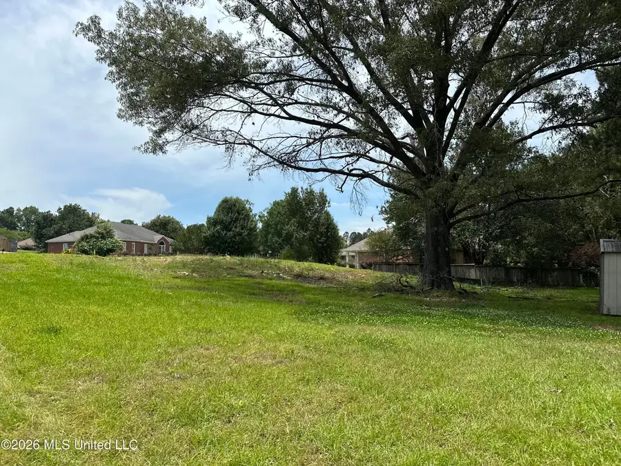 322 Semoia Lane, Ridgeland, MS 39157 - #3