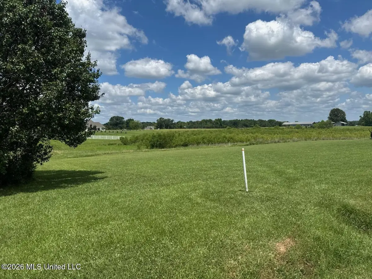 66 Lovorn Court, Flora, MS 39071 - #1