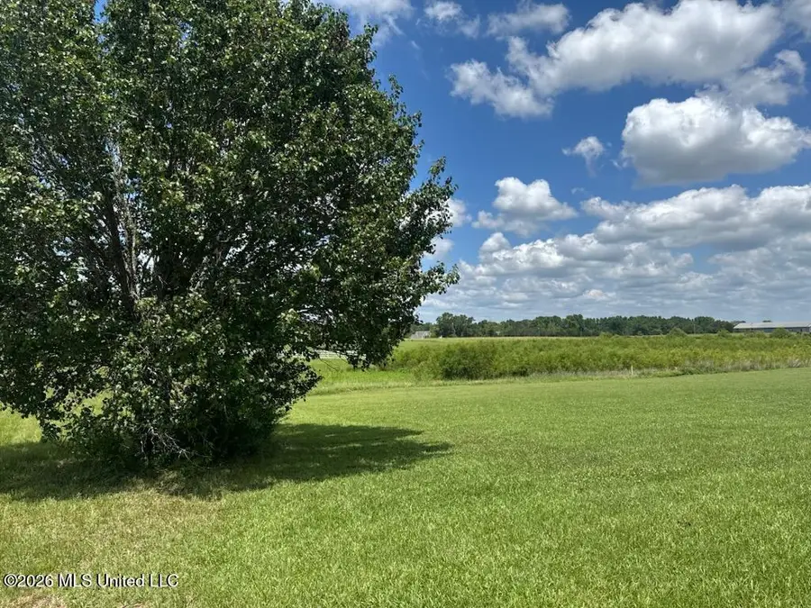 66 Lovorn Court, Flora, MS 39071 - #3
