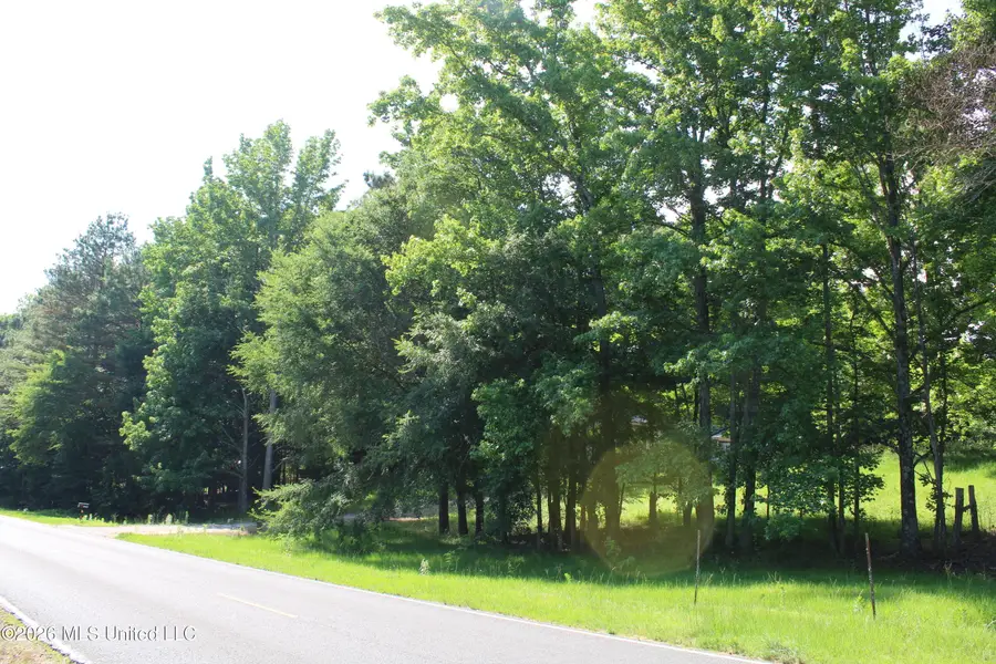 665 Briscoe Road, Holly Springs, MS 38635 - #3
