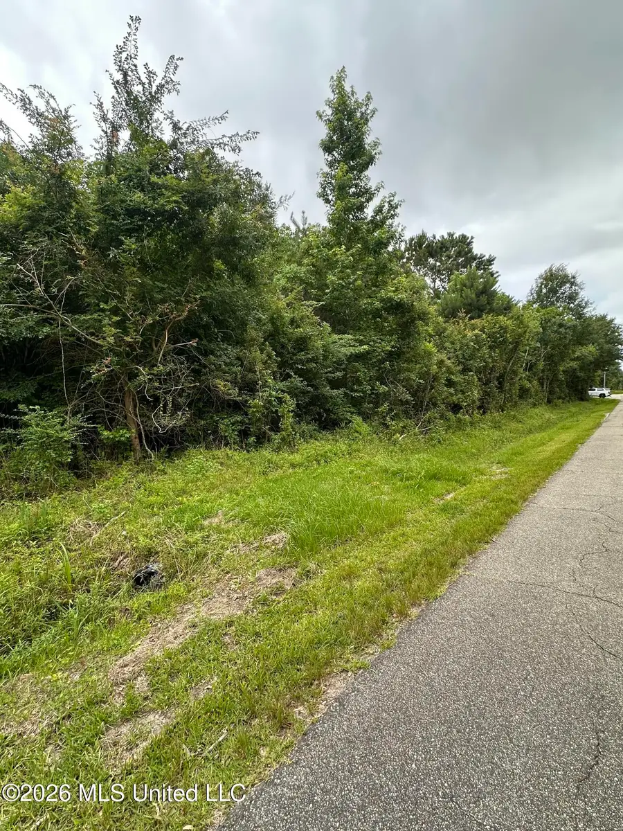 Forest Avenue, Bay Saint Louis, MS 39520 - #2
