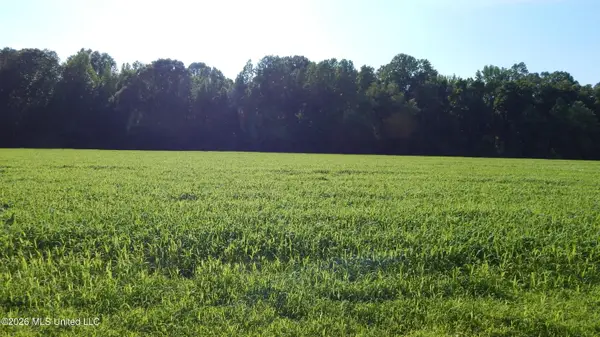 500 Cr 247 Country Road, Bruce, MS 38915