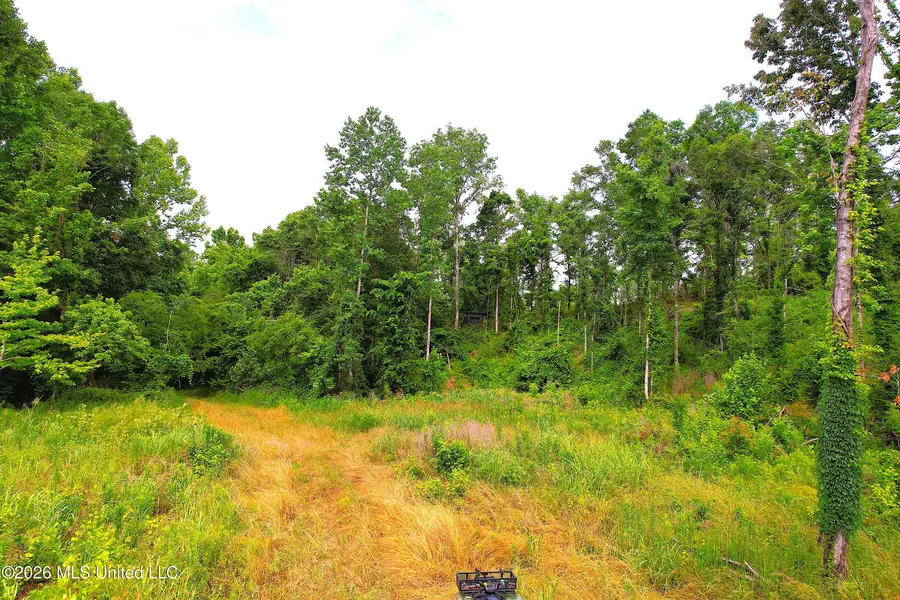 1181 Gowall Road, Vicksburg, MS 39183 - #2