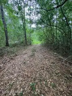 11102 Coleman Road, Gulfport, MS 39503 - #2