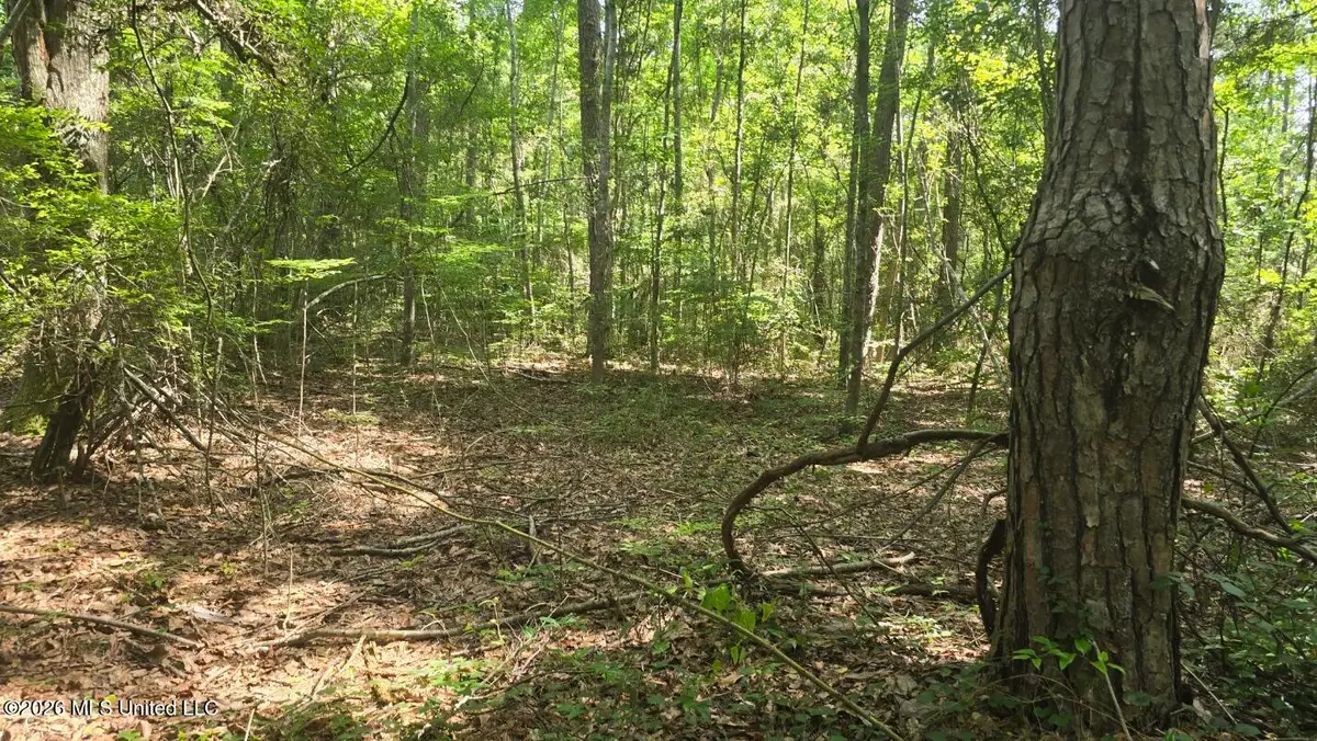 Addison Road, State Line, MS 39362 - #1