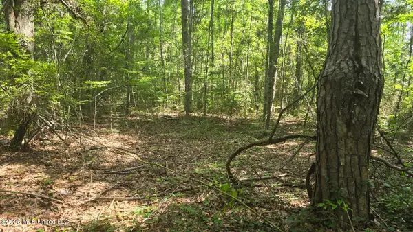 Addison Road, State Line, MS 39362