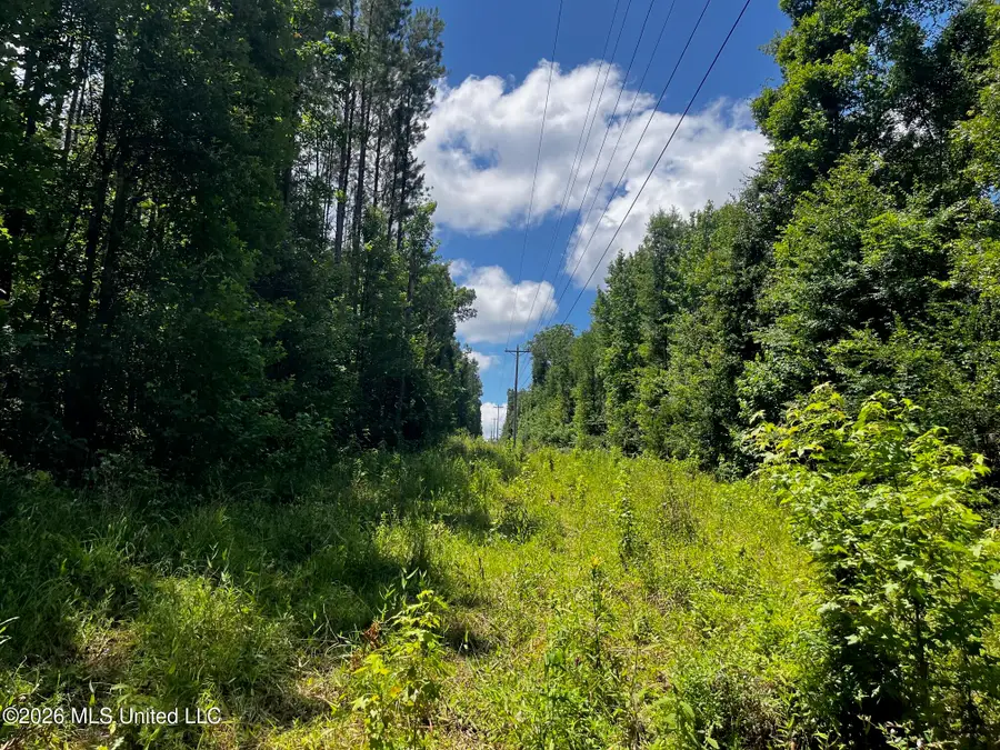 F E Sellers Highway, Monticello, MS 39654 - #3
