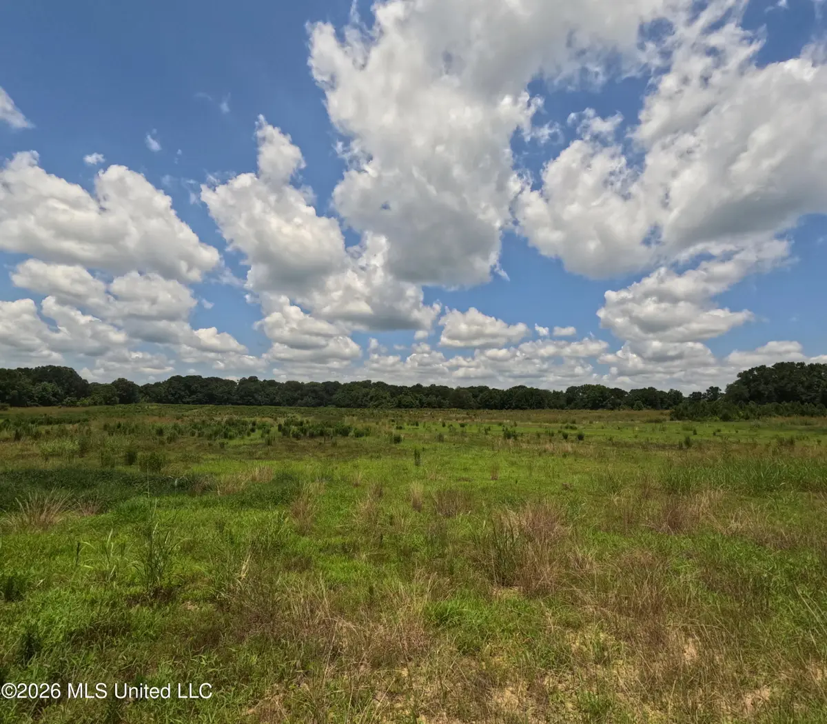 Old Port Gibson/cook Road, Utica, MS 39175 - #1