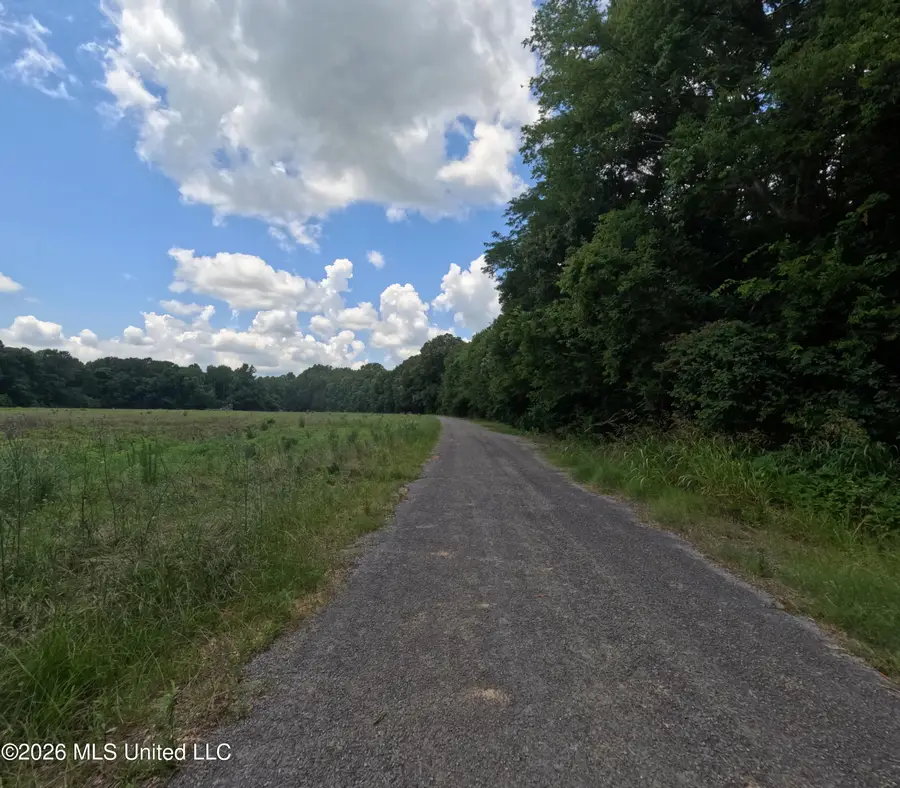 Old Port Gibson/cook Road, Utica, MS 39175 - #3