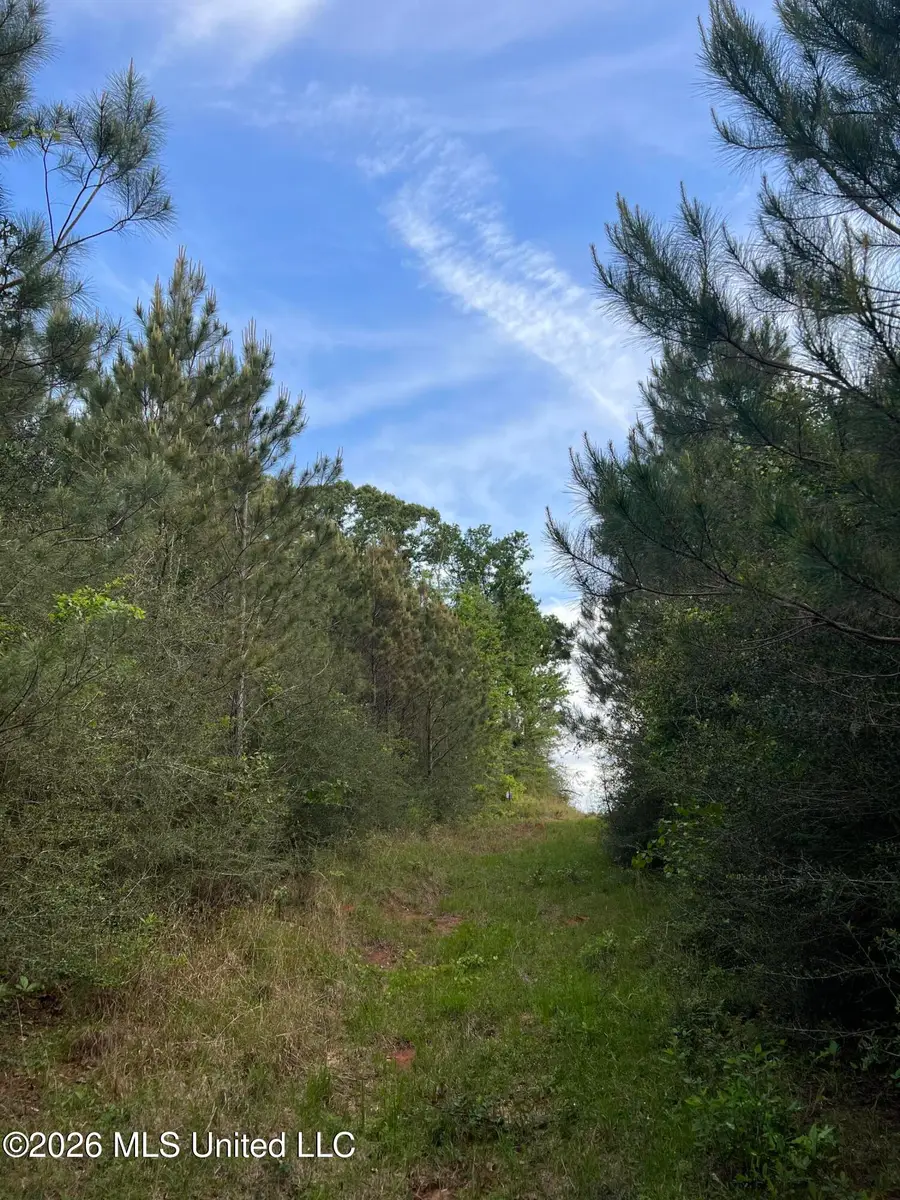 County Road 230, Shubuta, MS 39360 - #2