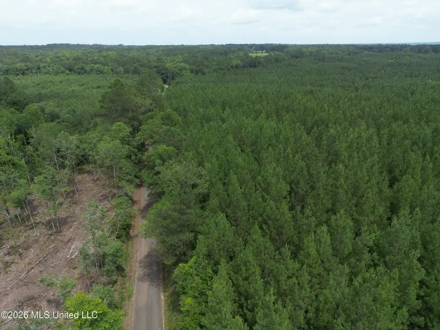 Summit Holmesville Road, McComb, MS 39648 - #3