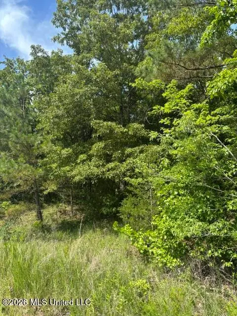 139 David Cove, Byhalia, MS 38611 - #2