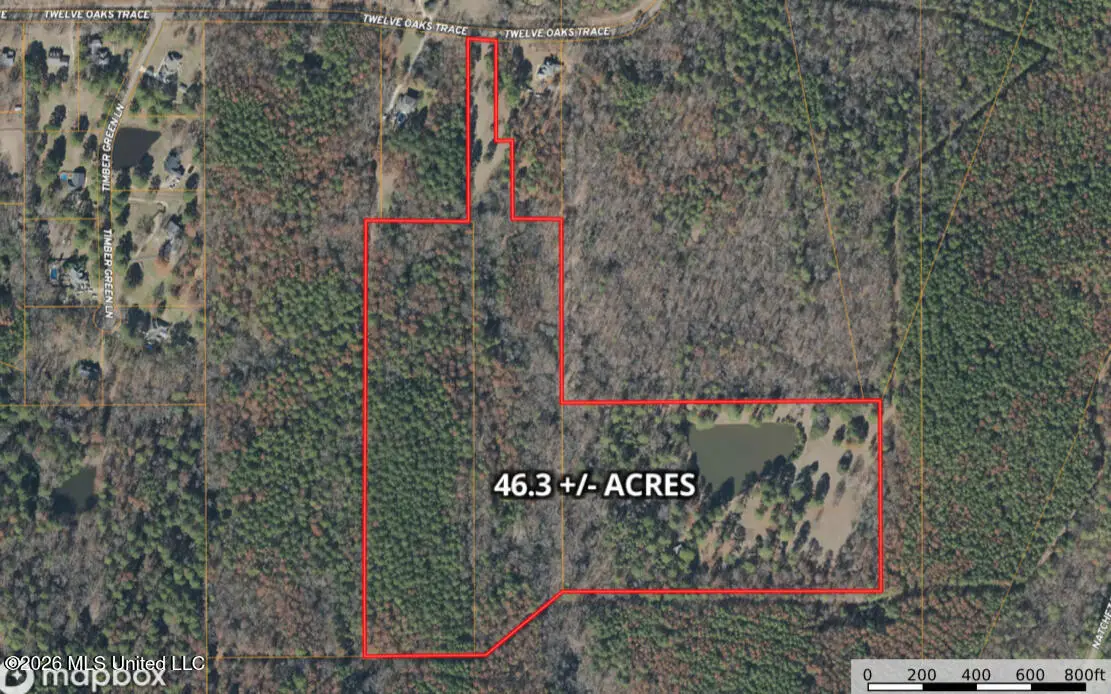 229 12 Oaks Trace, Canton, MS 39046 - #1