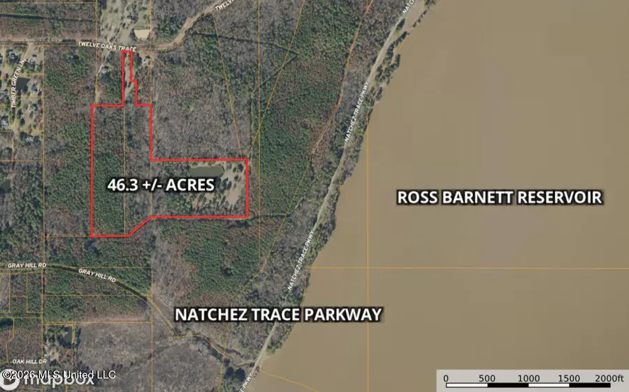 229 12 Oaks Trace, Canton, MS 39046 - #2