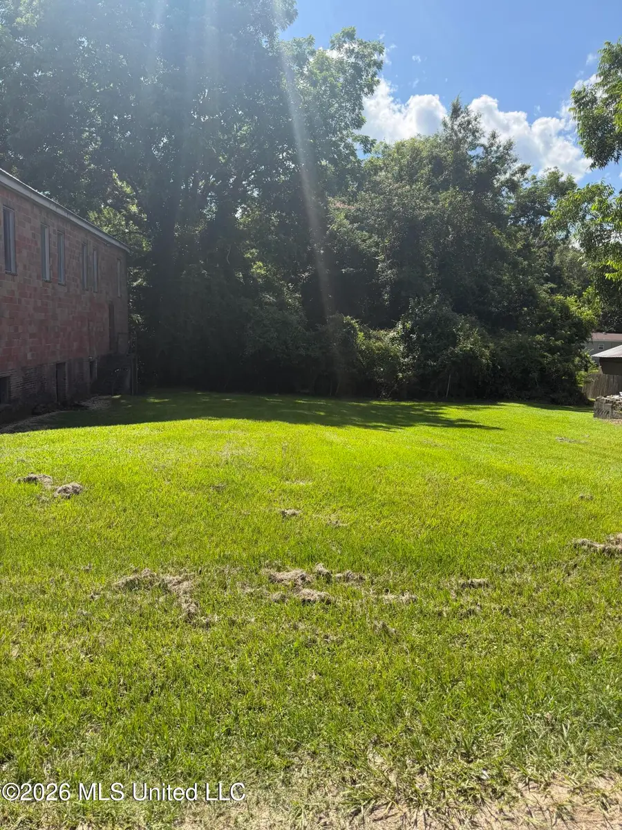 Rodgers Street, Brookhaven, MS 39601 - #3