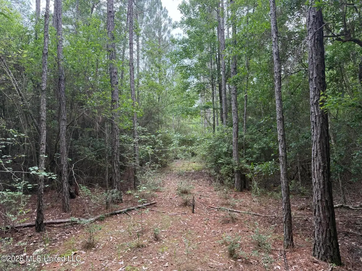 Highway 49, Saucier, MS 39574 - #1
