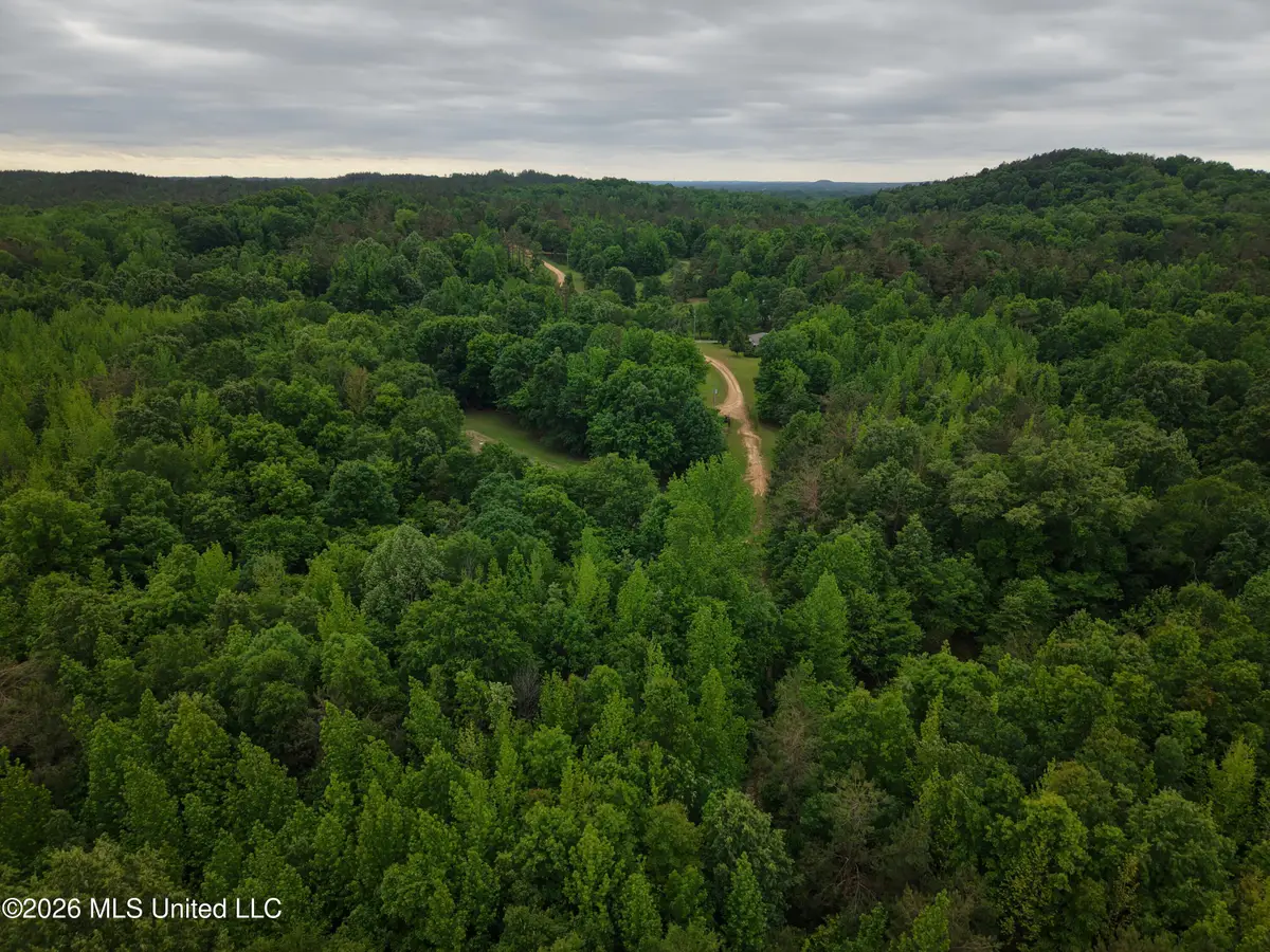 Beechwood Drive, Grenada, MS 38901 - #1