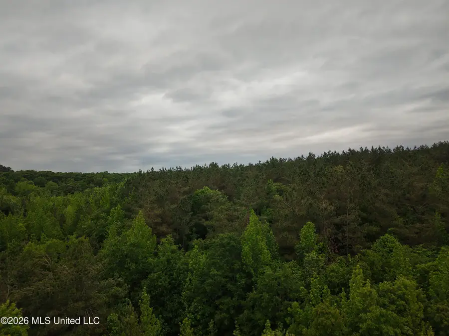 Beechwood Drive, Grenada, MS 38901 - #3