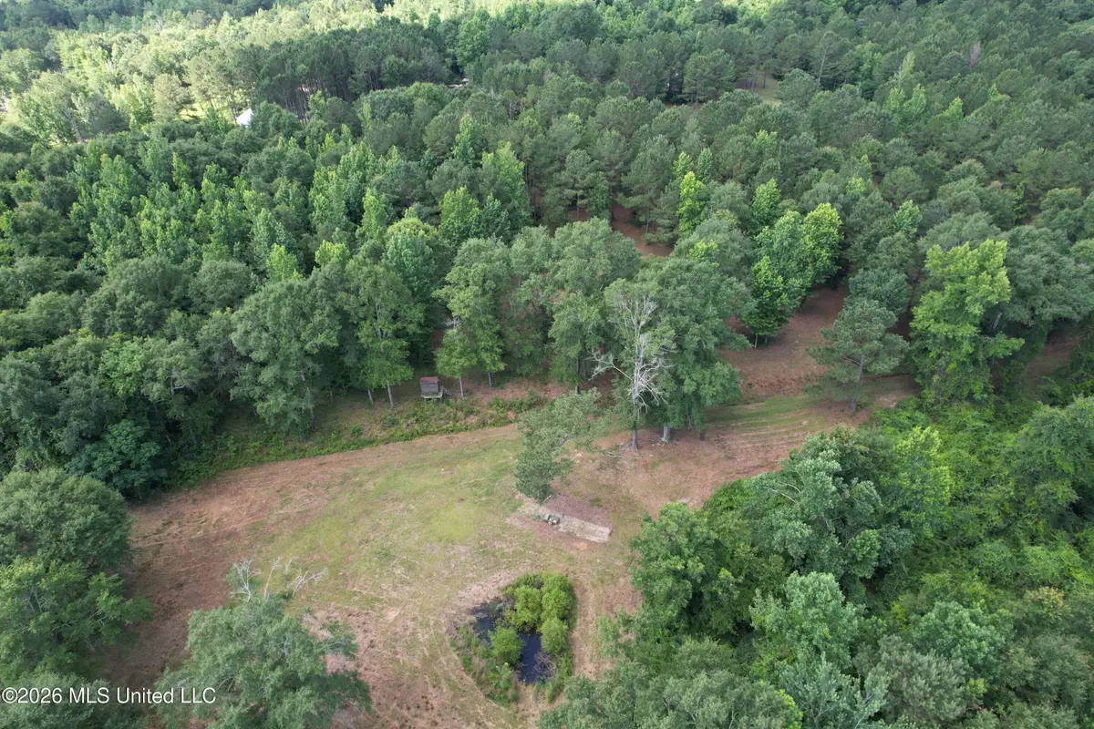 135 Joe Booth Road, Taylorsville, MS 39168 - #1