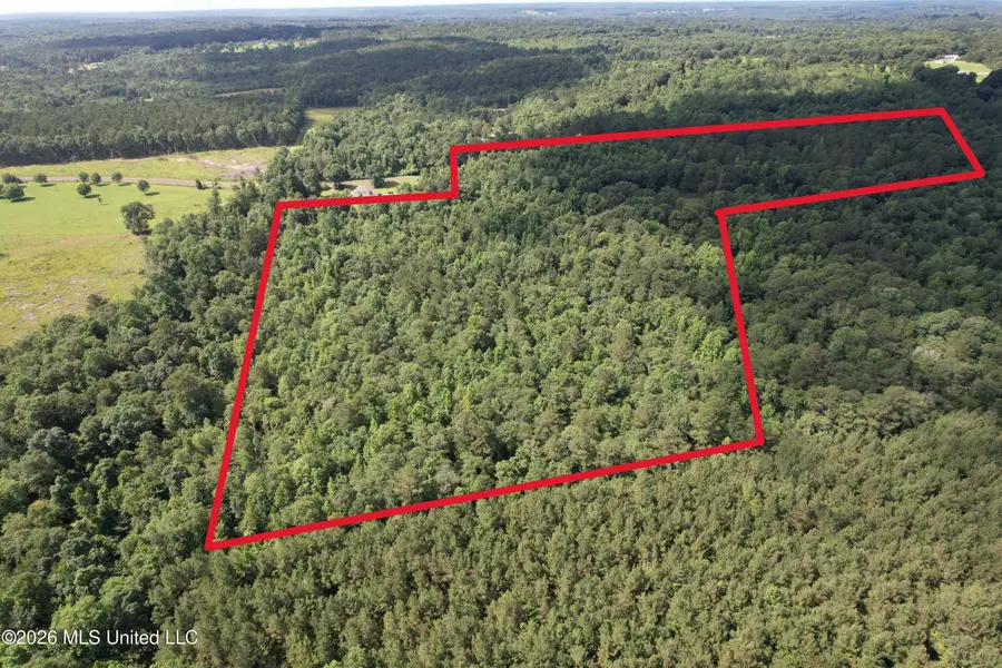 135 Joe Booth Road, Taylorsville, MS 39168 - #3