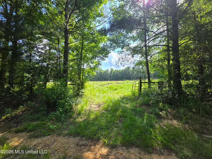 416 Summers Lane, Brookhaven, MS 39601 - #3