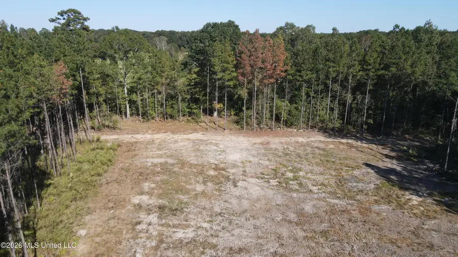 Loyd Irby Road, Pelahatchie, MS 39145 - #2