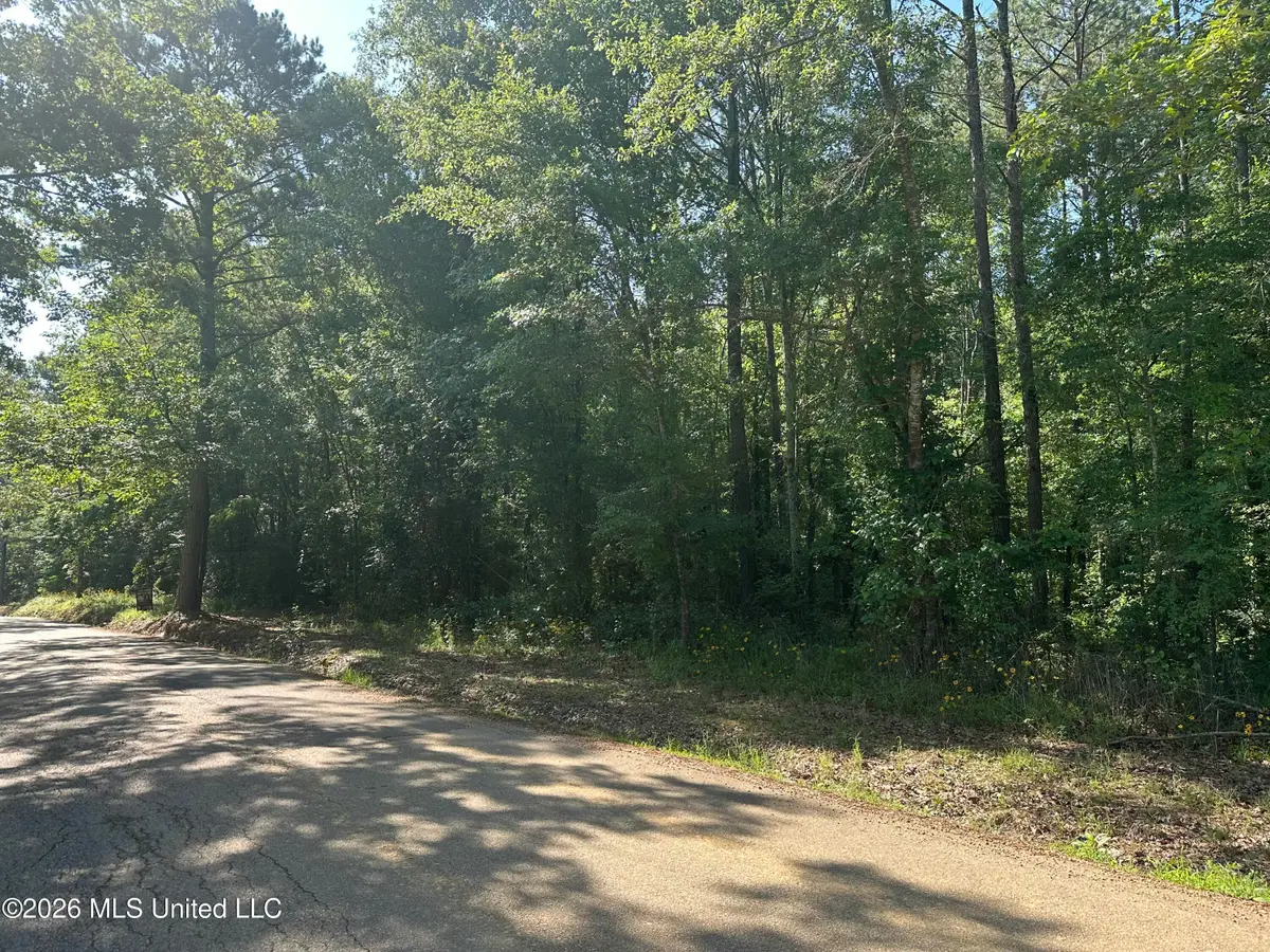 J C Prestage Road, Pelahatchie, MS 39145 - #1